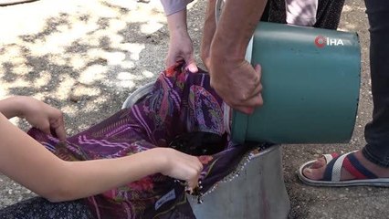 Kahramanmaraş'ta 'Urmu' dutundan reçel ve pekmez yapımına başlandı