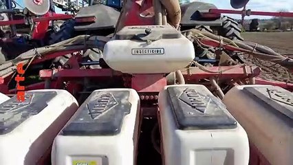 Insecticides, comment l’agrochimie a tué les insectes - 5 juillet