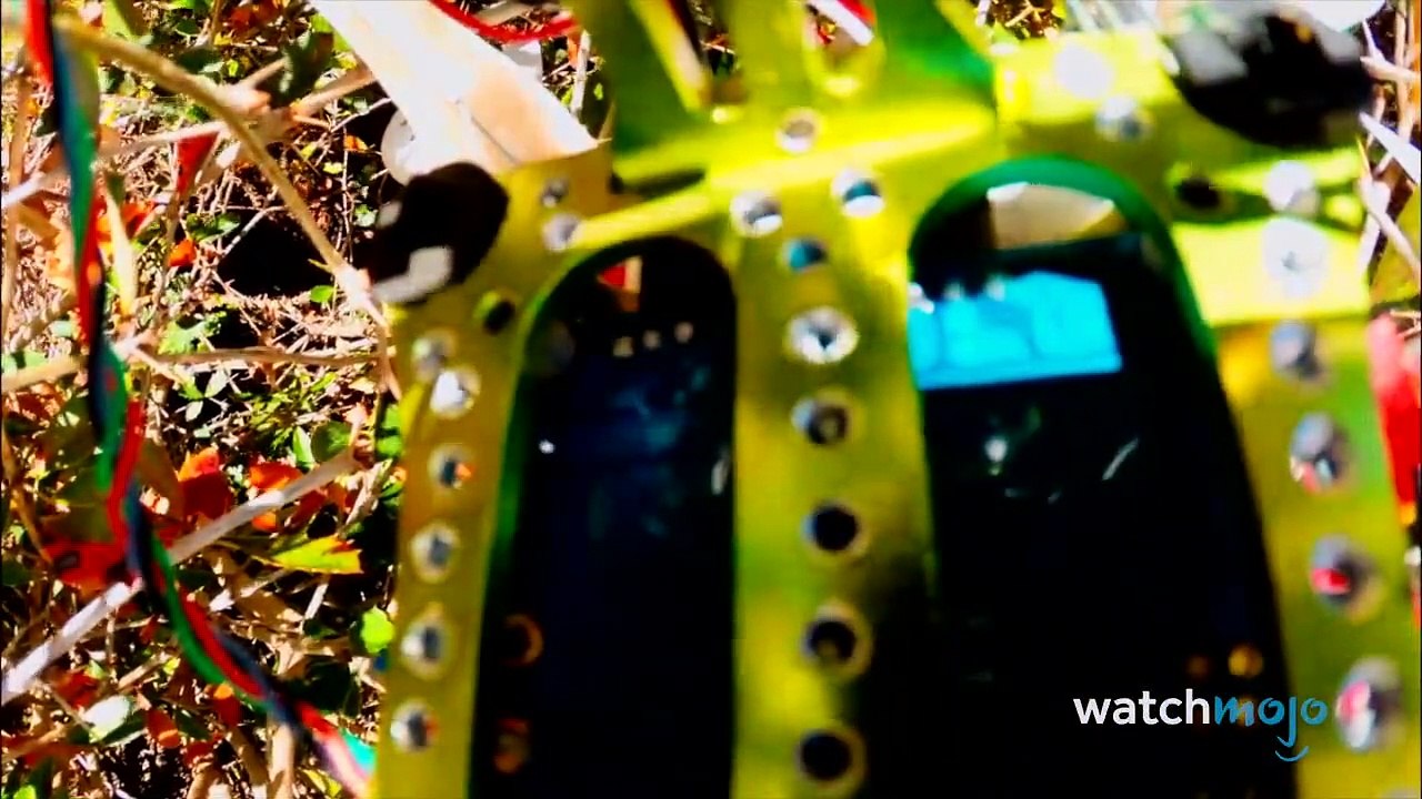 Top 10 Funniest Things Caught by Drones