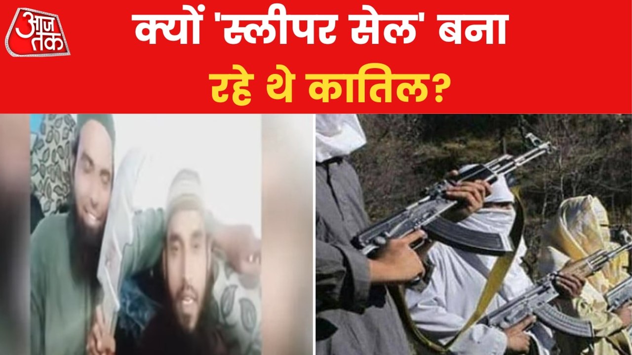 What terror links does Udaipur murderers had?