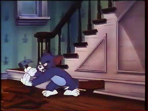 VHS Tom et Jerry Kids Show 10