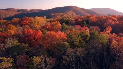 Genius Tools That Will Make Your Life Easier