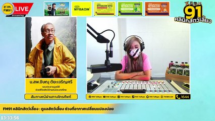 ดูแลสัตว์เลี้ยง ช่วงที่อากาศเปลี่ยนแปลงบ่อย EP.2 : FM91 คลินิกสัตว์เลี้ยง : 3 กรกฎาคม 2565