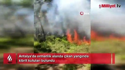 Antalya’da ormanlık alanda çıkan yangında kibrit kutuları bulundu