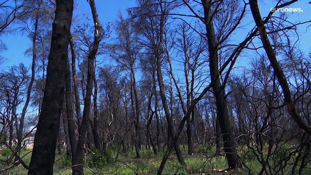 Grecia funestata dagli incendi, in arrivo 200 vigili del fuoco europei