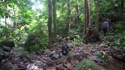 BUILD EMERGENCY SHELTER On Hig Survive in then Deep Forest Solo Survival