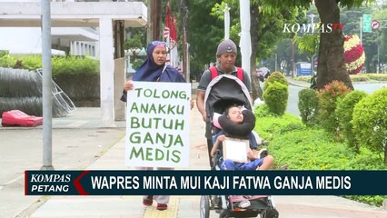 Jawaban MUI soal Permintaan Maruf Amin untukm Kaji Fatwa Ganja Medis