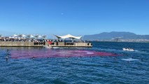 600 metrekarelik Türk bayrağı ile 'denizde açılan en büyük bayrak' rekoru kırdılar