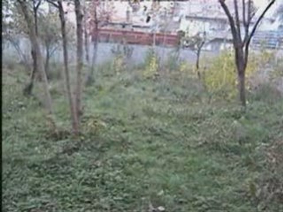 Fstık eğitimde ....