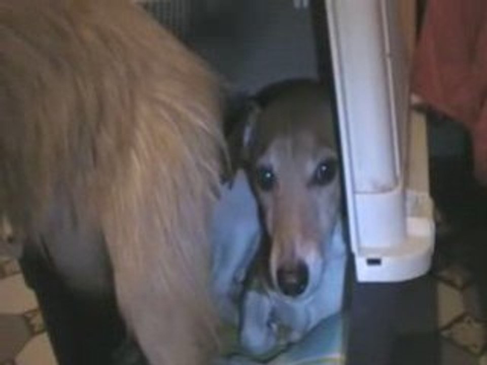 Erine qui se réveille