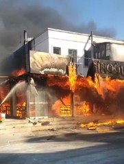 Son dakika haberi | BODRUM'DA FIRINDA ÇIKAN YANGIN 3 İŞLETME VE 2 EVE SIÇRADI