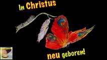 In Christus neu geboren - die Transformation zum Kind Gottes