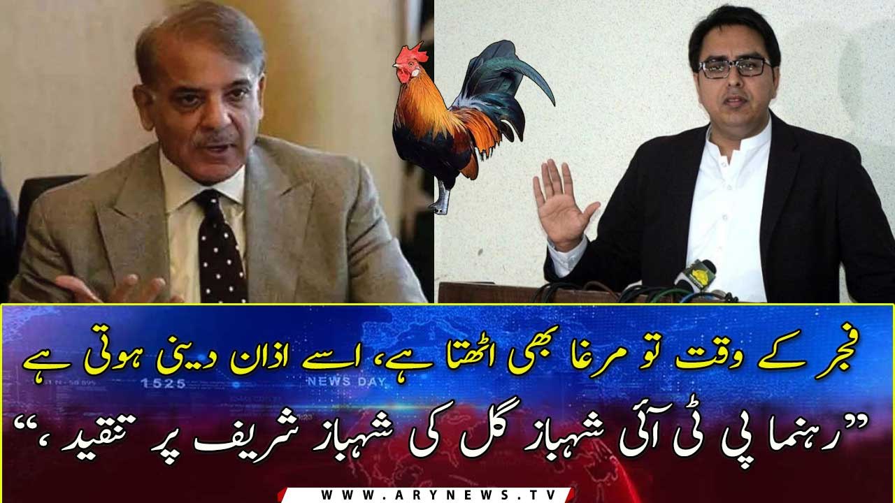 "Even a rooster gets up in Fajar because ..., " Shahbaz Gill critisizes Shehbaz Sharif