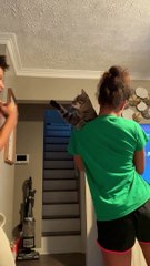 Boxing Match With a Kitten
