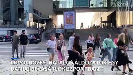 Többen meghaltak egy lövöldözésben egy dán bevásárlóközpontban