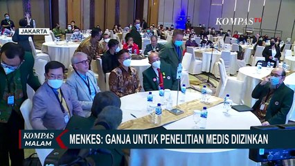 IDI dan Kemenkes Masih Riset Bahaya Efek Samping Ganja untuk Kebutuhan Medis