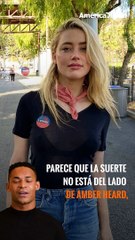 De nuevo en aprietos: #AmberHeard podría ir a la cárcel por llevar a sus perros a #Australia y no declararlos