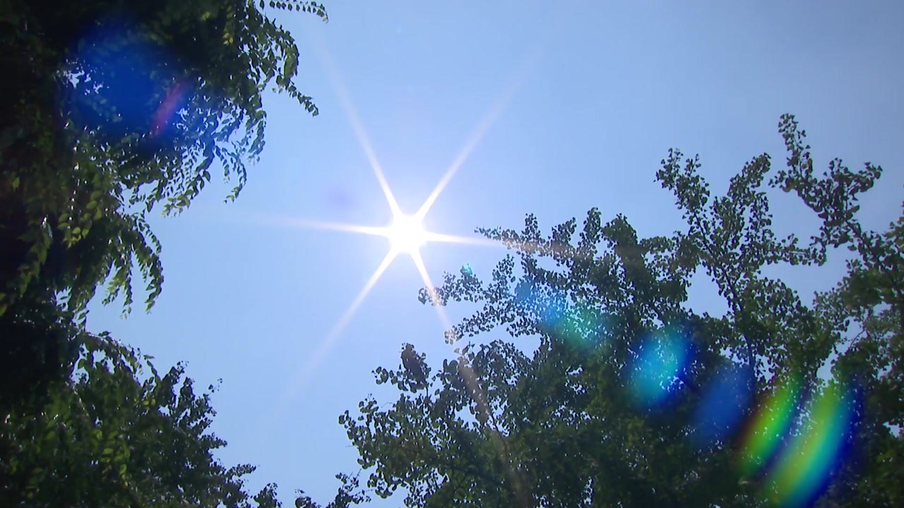 [날씨] 폭염경보 서울 35℃...오후 곳곳 요란한 소나기 / YTN