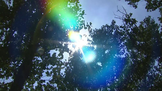 [날씨] 서울 폭염경보 전국이 푹푹 찐다 ...남해안 '너울' 주의 / YTN