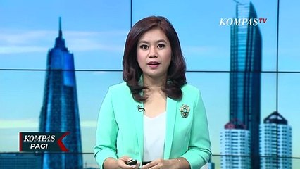 Pemadam Kebakaran Banjarbaru Evakuasi Sarang Tawon Vespa Berukuran 1 Meter!