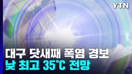 대구 낮 최고 35℃ 전망...닷새째 '폭염 경보' / YTN