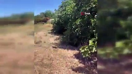 Download Video: Silivri'de yangın çıktı, yüzlerce dönümlük arazi kül oldu