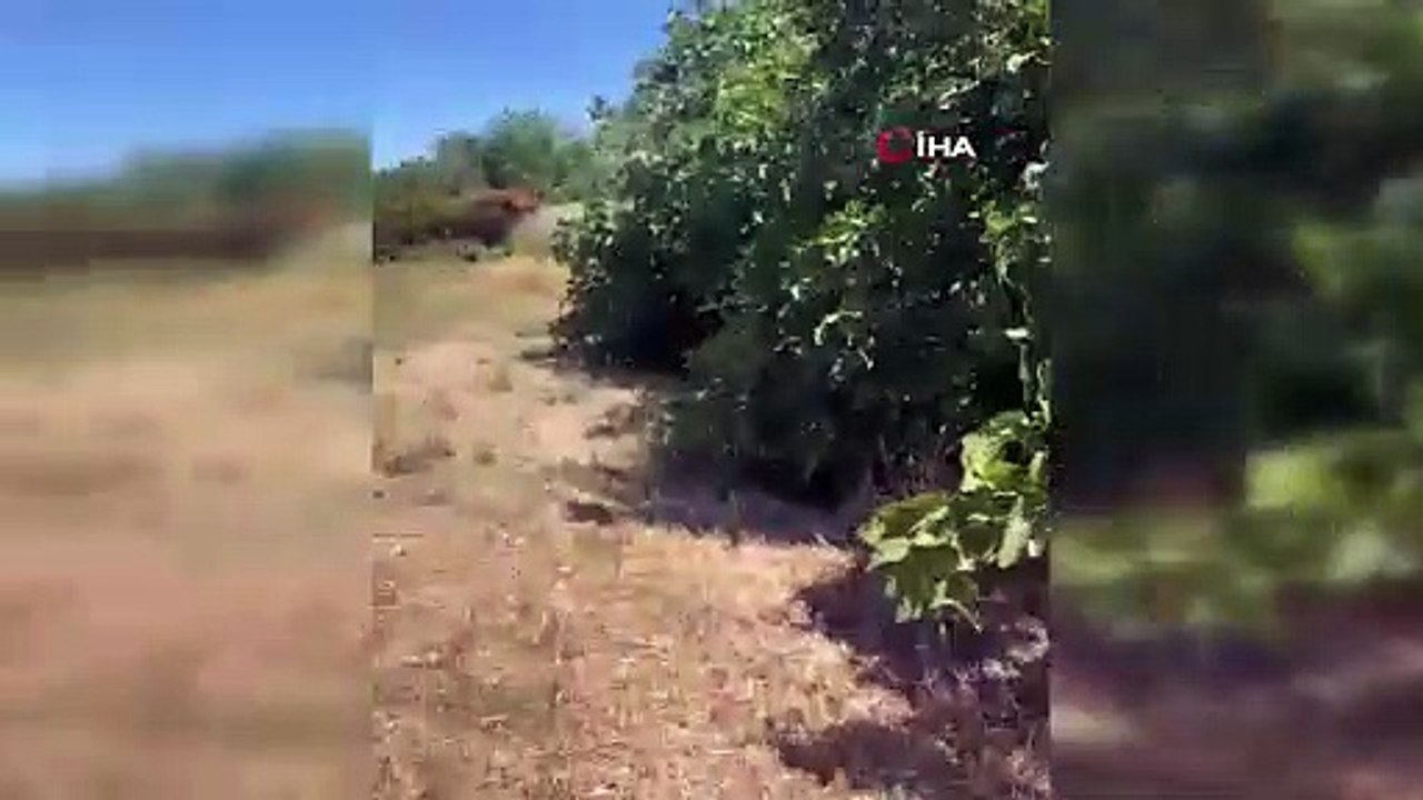 Silivri'de yangın çıktı, yüzlerce dönümlük arazi kül oldu