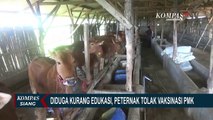 Takut Hewan Ternaknya Justru Mati, Peternak Tolak Vaksinasi PMK di Sumenep