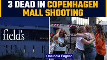 Copenhagen mall shooting: Three dead, terror angle suspected | Oneindia news *International