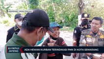 Ada Hewan Kurban Terindikasi PMK di Kota Semarang