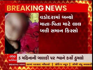 Vadodara: પાંચ મહિનાની માસૂમ સૂઈ રહી હતી ઘરમાં, અચાનક શ્વાન ત્રાટકતા ફાડી નાંખ્યું માથું