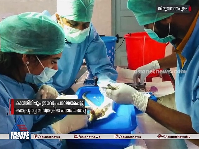 കാത്തിരിപ്പും ശ്രമവും വിഫലം; മീനിനെ രക്ഷിക്കാന്‍ നടത്തിയ ശസ്ത്രക്രിയ പരാജയം