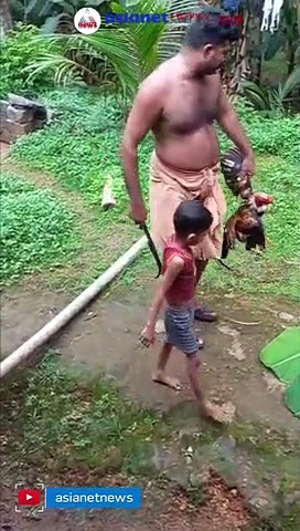 കോഴിയെ കൊല്ലല്ലേ; നിലവിളിച്ച് കുരുന്ന്, കൊല്ലാതെ അതിനെ അവന് വളര്‍ത്താന്‍ കൊടുത്ത് കുടുംബവും