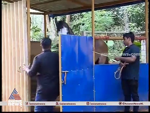 പാലക്കാട് കേരളശ്ശേരിയിലെ ശ്രാവണിൻ്റെ വ്യത്യസ്തമായ കമ്പങ്ങൾ!