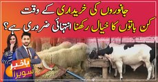 Things to know before buying sacrificial animal for Qurbani