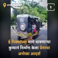 The Reason Of This Dog Running Behind A Rickshaw Will Melt Your Heart