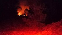 Son dakika haber: Adana'da gece çıkan orman yangını kontrol altına alındı