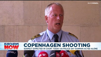 Copenhagen shooting: Nothing to suggest deadly attack was a terrorist act, say police