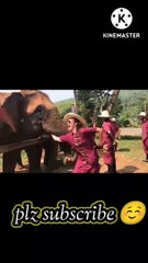 unexpected animal attacks  funny animal videos  animal attacks