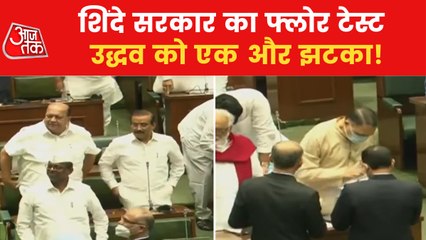 Video:This is how Shinde government's majority test happened