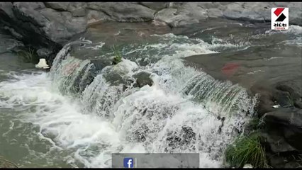 આહવા ડાંગમાં વરસાદ બાદ કુદરતી સૌંદર્ય ખીલ્યું