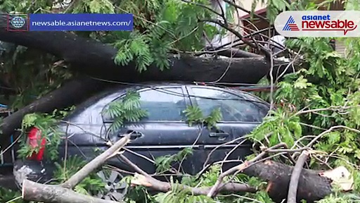 Bracing for monsoon hit: Authorities clear drains in flood-prone areas, remove 400 uprooted trees in Bengaluru