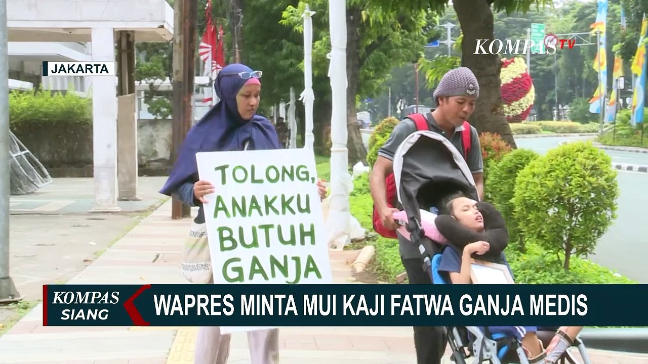 DPR Mulai Kaji Legalisasi Ganja untuk Kepentingan Medis