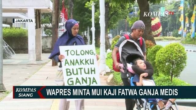 DPR Mulai Kaji Legalisasi Ganja untuk Kepentingan Medis