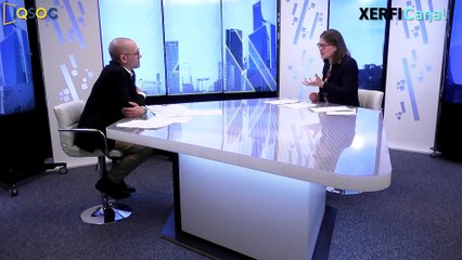 Les enjeux organisationnel et politiques de l'I.A. [Véronique Steyer]
