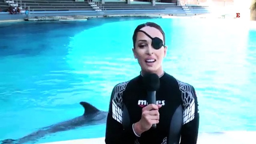 Riccione, Gessica Notaro torna ad addestrare i delfini al parco Oltremare