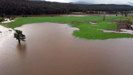 Aerial view of a dairy farm at Wogamia, near Nowra | July 2022 | The Land