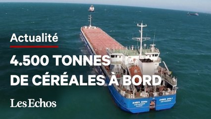 Un cargo russe transportant des céréales ukrainiennes retenu en Turquie