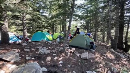 KAHRAMANMARAŞ - Bulutların üstündeki tepe uğur böceği meraklılarını ağırlıyor