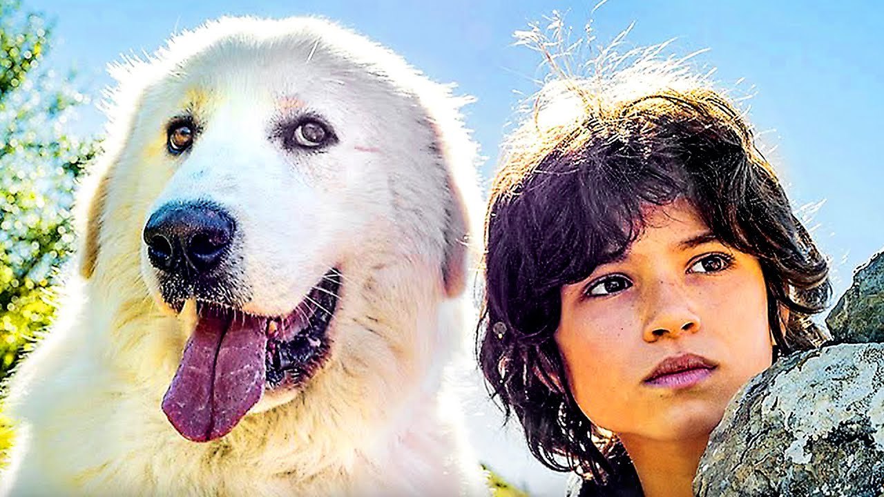 BELLE ET SÉBASTIEN : NOUVELLE GÉNÉRATION Bande Annonce